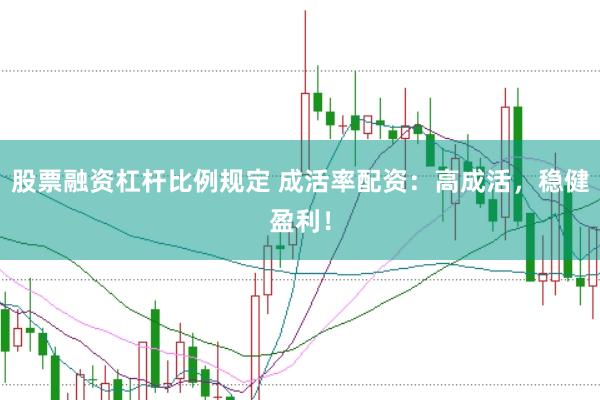 股票融资杠杆比例规定 成活率配资：高成活，稳健盈利！