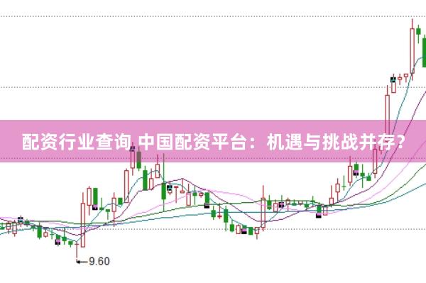 配资行业查询 中国配资平台：机遇与挑战并存？