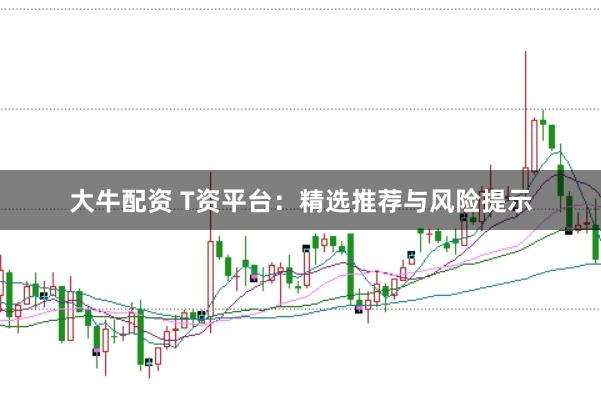 大牛配资 T资平台：精选推荐与风险提示