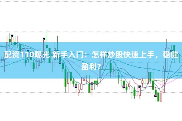 配资110曝光 新手入门：怎样炒股快速上手，稳健盈利？