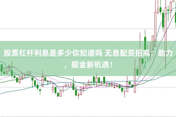 股票杠杆利息是多少你知道吗 无息配资招商：助力，掘金新机遇！