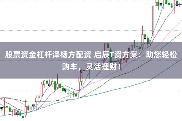 股票资金杠杆泽杨方配资 启辰T资方案：助您轻松购车，灵活理财！