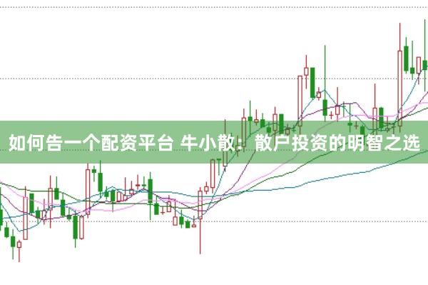 如何告一个配资平台 牛小散：散户投资的明智之选