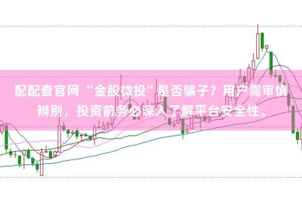 配配查官网 “金股微投”是否骗子？用户需审慎辨别，投资前务必深入了解平台安全性。
