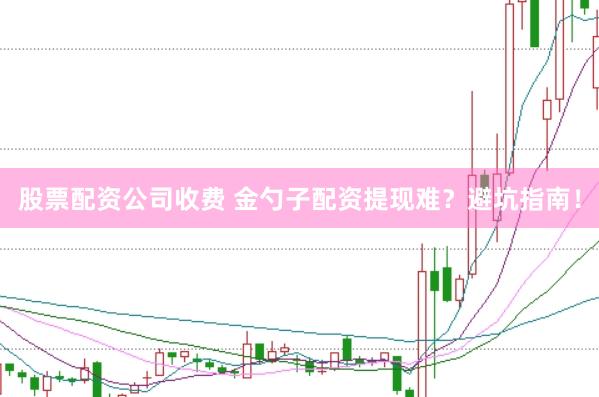 股票配资公司收费 金勺子配资提现难？避坑指南！