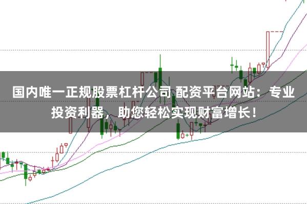 国内唯一正规股票杠杆公司 配资平台网站：专业投资利器，助您轻松实现财富增长！