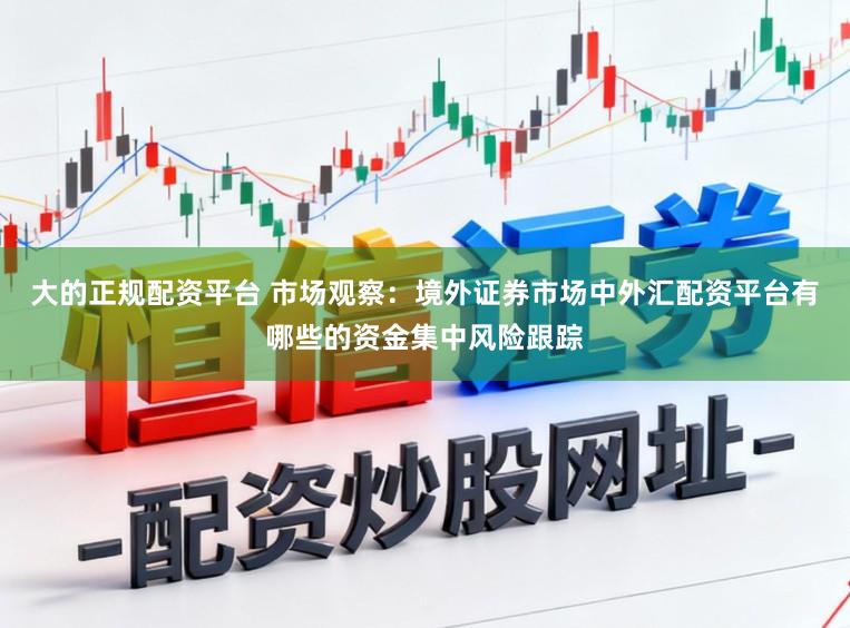 大的正规配资平台 市场观察：境外证券市场中外汇配资平台有哪些的资金集中风险跟踪