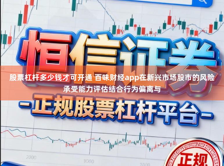 股票杠杆多少钱才可开通 百味财经app在新兴市场股市的风险承受能力评估结合行为偏离与