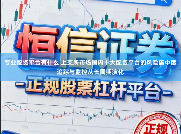 专业配资平台有什么 上交所市场国内十大配资平台的风险集中度追踪与监控从长周期演化