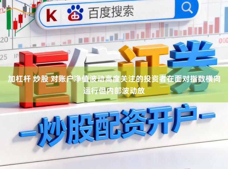 加杠杆 炒股 对账户净值波动高度关注的投资者在面对指数横向运行但内部波动放
